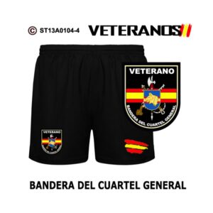 Pantalón Veterano Bandera del Cuartel General - BRILEG