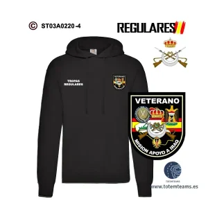 Sudadera-capucha Veterano de Iraq Tropas Regulares