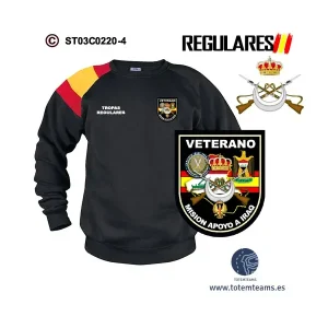Sudadera-bandera Veterano de Iraq Tropas Regulares