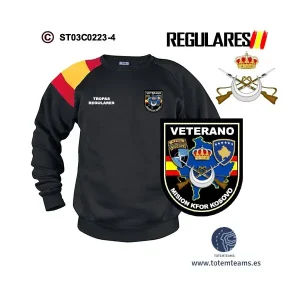 Sudadera-bandera Veterano de Kosovo Tropas Regulares